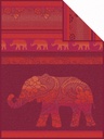 Delhi Elephant