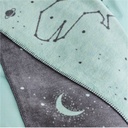Star Sign Dino
