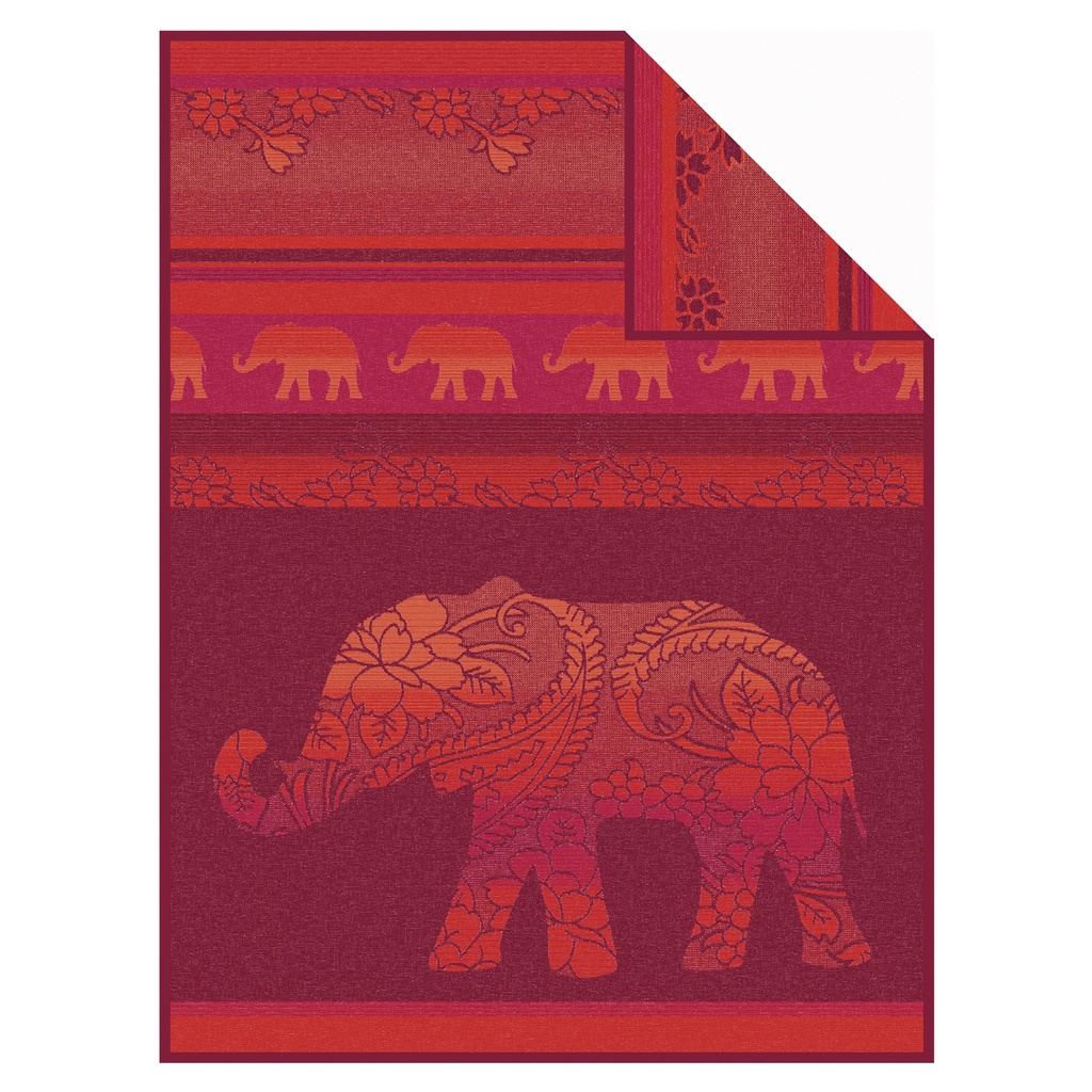 Delhi Elephant