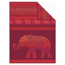 Delhi Elephant