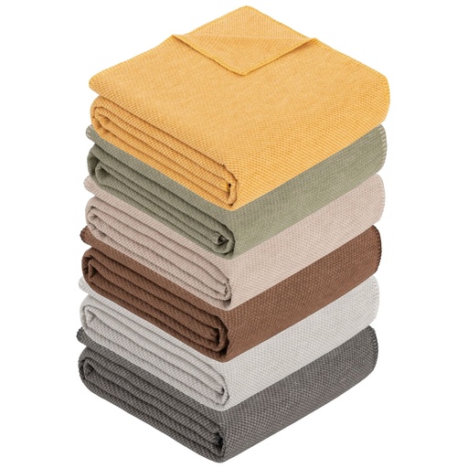 Charlotte in 6 Colors