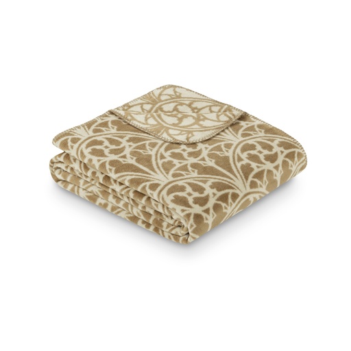 [1856/030] 1856 - Evolution