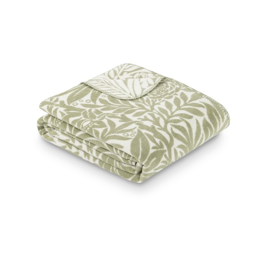 [1896/070] 1896 - New Style